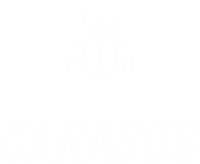 AbuGarcia-Carabus-Delicate-logo